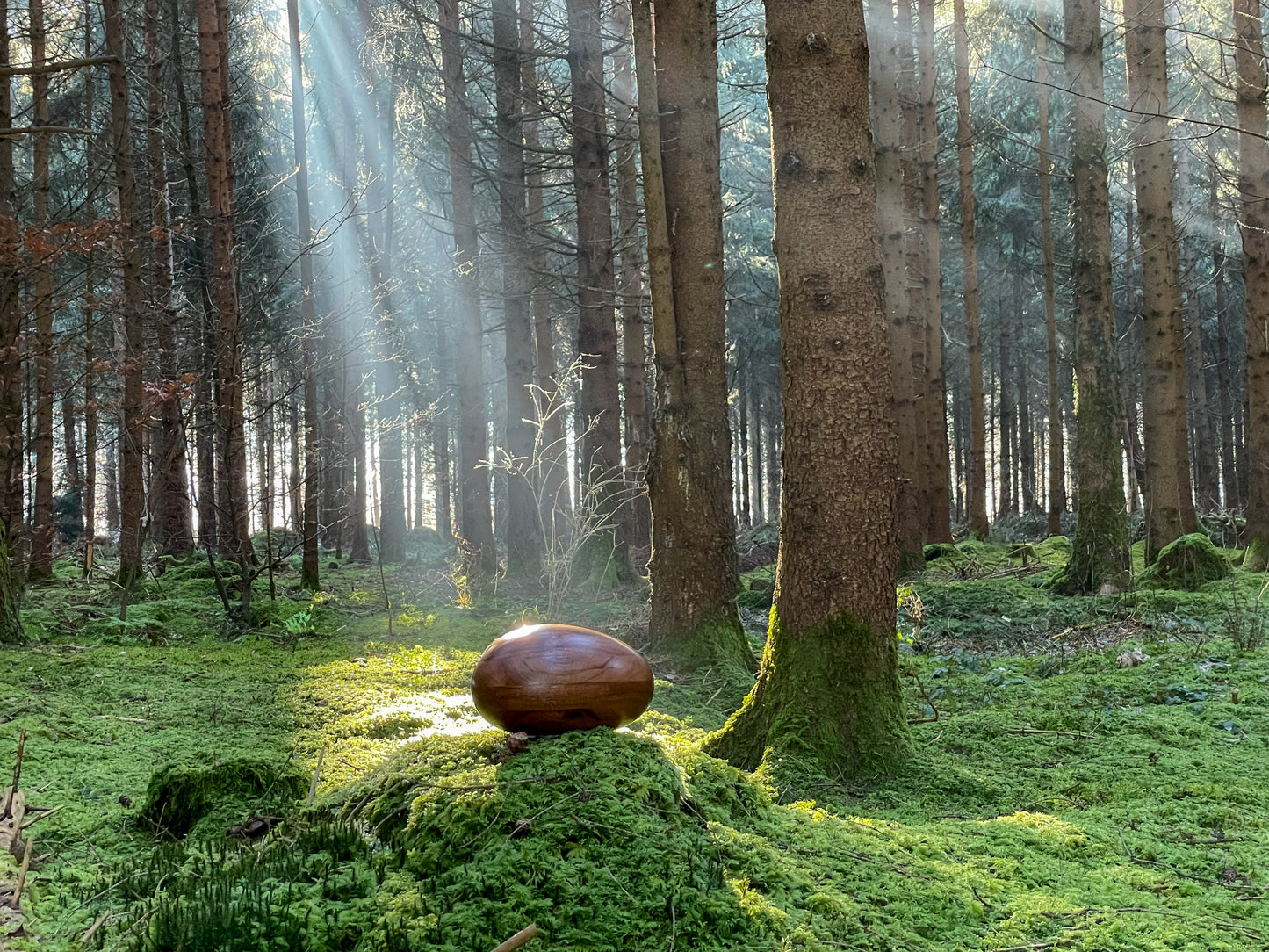 Holzurne River Stones Krabbenholz - Groß
