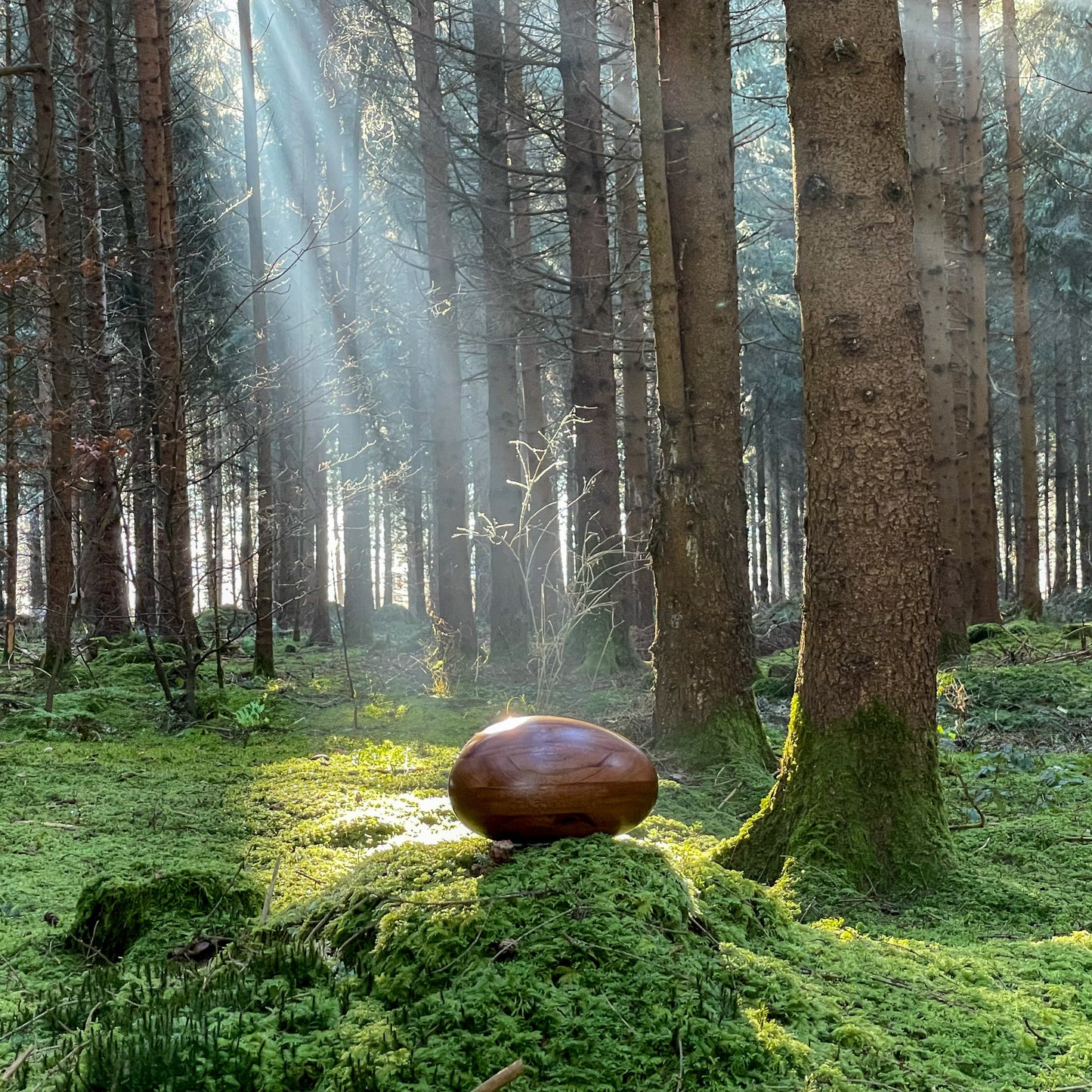 Holzurne River Stones Krabbenholz - Groß