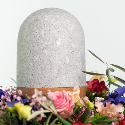 Pulpurne Schiefer, Zedernholz