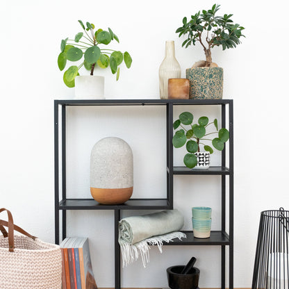 Pulpurne Schiefer, Zedernholz